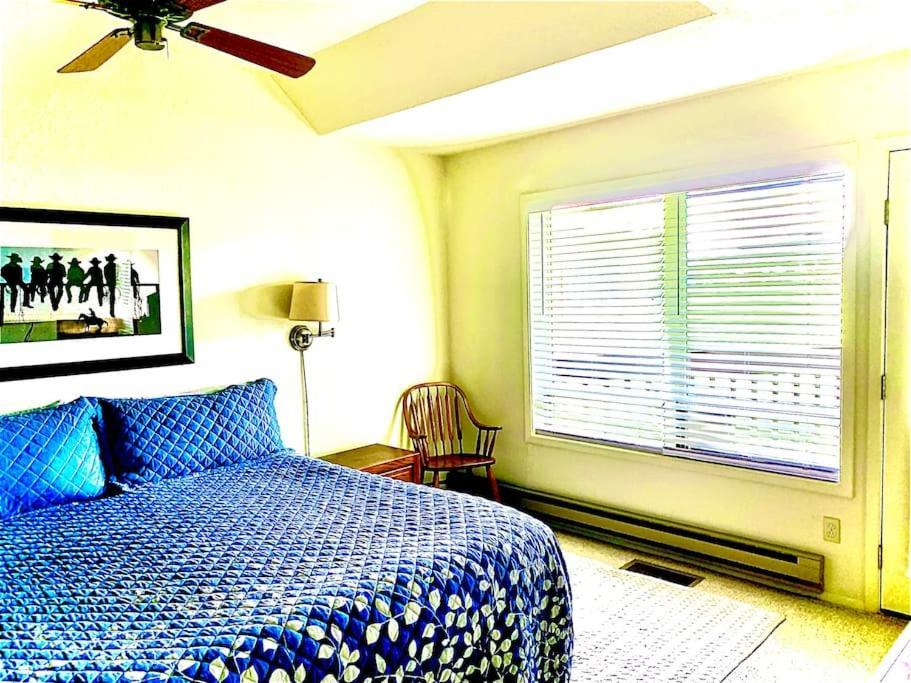 Villa Talisman Amazing Views Walk To Uptown Sleeps 4 Pagosa Springs Exterior foto